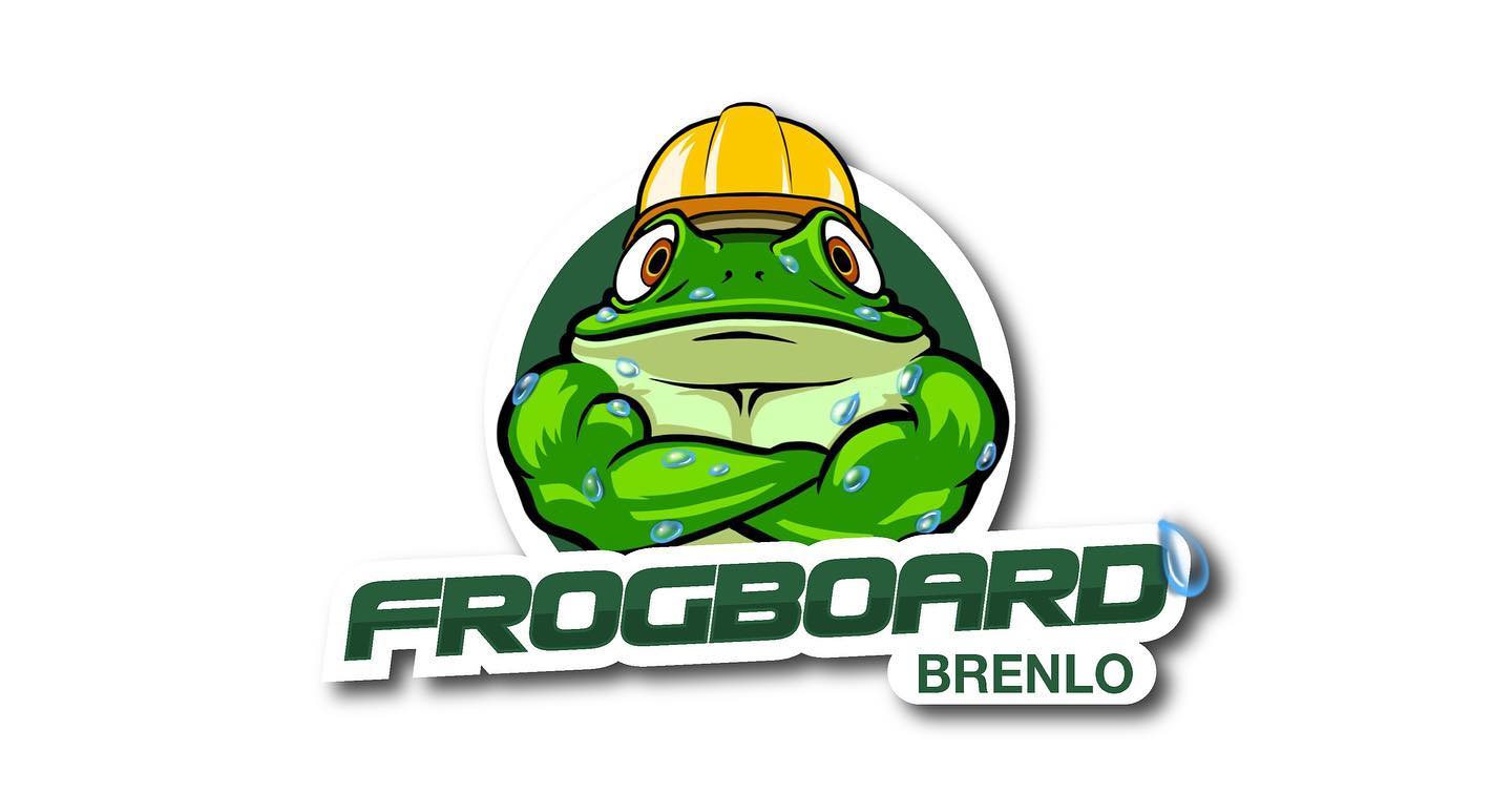 Custom Illustration Logo Concept for FROGBOARD by BRENLO. #illustration